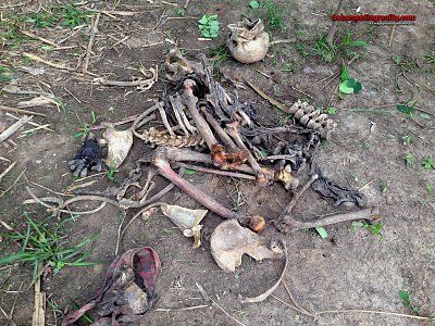 man-missing-almost-2-months-found-dead-body-skeletonized-1-vila-diamante-br-jan-13-16.jpg