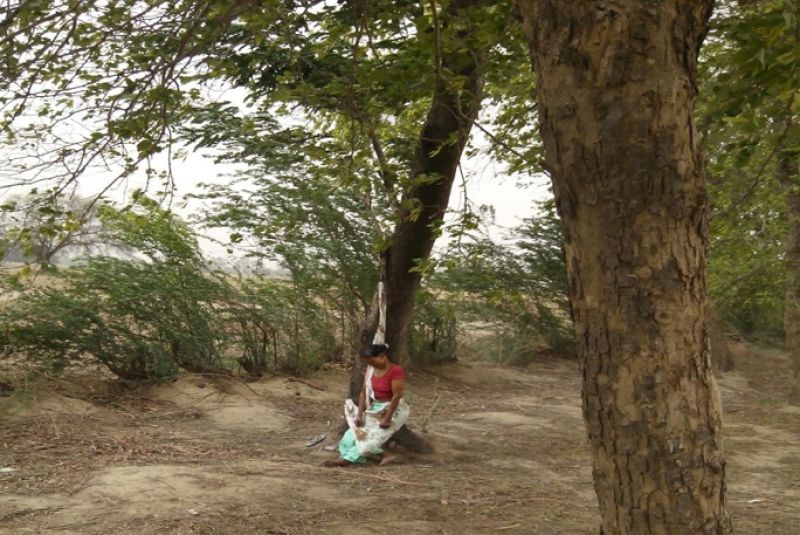 800X535jalaun_property_in_dispute_persecution_of_kin_girl_hanging_on_tight_rocker.jpg