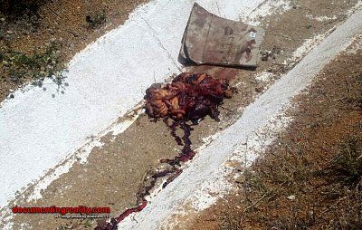 man-hit-crossing-road-body-cut-half-6-caruaru-br-apr12-17.jpg