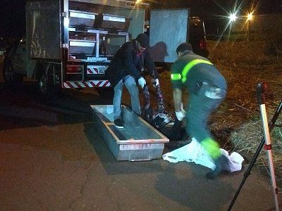 30-yo-woman-run-over-09.jpg