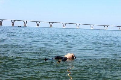 img_1639.jpg