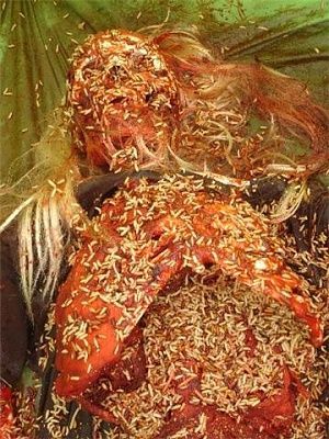 body3.jpg