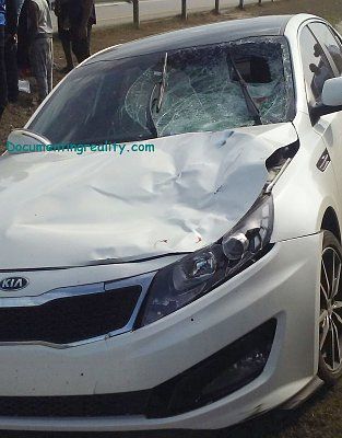 kia11.jpg