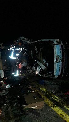 documentingreality.com-20-20fatal-20collision-20with-20cow-2006.jpg