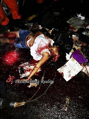 documentingreality.com-20-20fatal-20collision-20with-20cow-2008.jpg