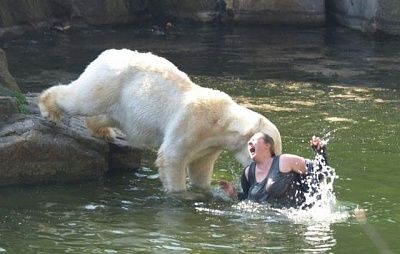 polar_bears_attack_woman_01.jpg