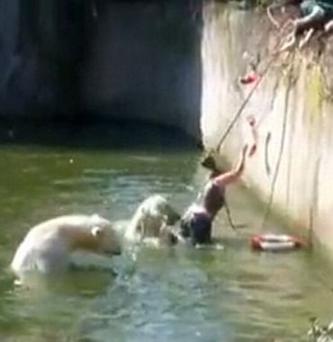 polar_bears_attack_woman_04.jpg