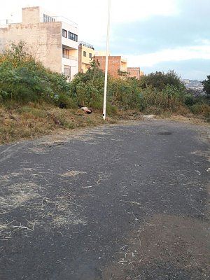 barranca.jpg