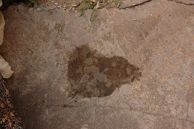 20091028026-min.jpg