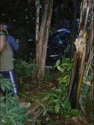 crash1.jpg