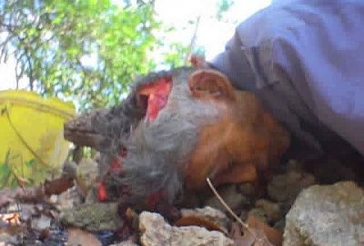 accident-mexico1-4-.jpg