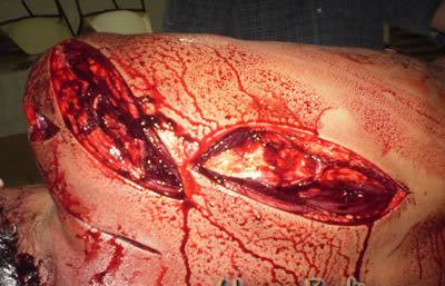 Painful_20Death06.jpg