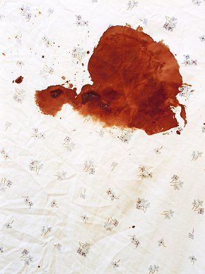 stain2.jpg