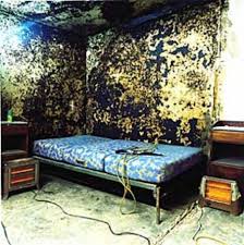 Bed.jpg
