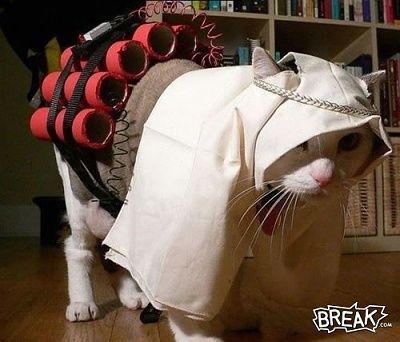18jan9-suicide-kitty.jpg