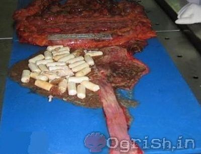 og.-drug-mules.jpg