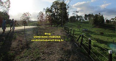 img_1587.jpg