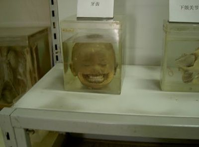 pict3232.jpg
