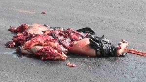 Name:  POLICIA-ATROPELLADO-300x169.jpg
Views: 287
Size:  13.8 KB