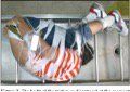 2EE602BF-487C-4909-95D7-BE6919CD05E0.jpeg