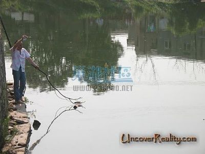 62_241976_58c6a484992b4d9.jpg