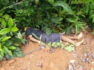 morto-2-300x225.jpg