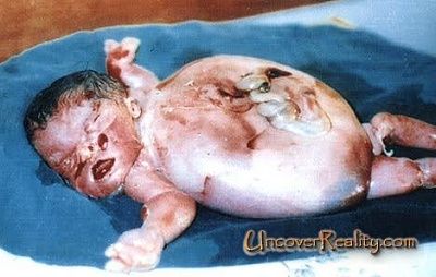 dbaby4.jpg