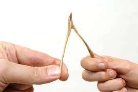 wishbone.jpg