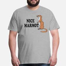 Nice%20Marmot%2001.jpeg
