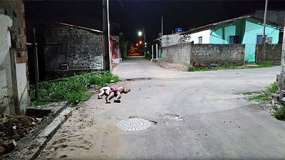 noticia_186624.jpg