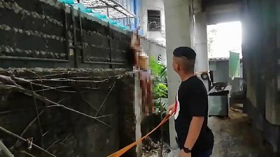 66.jpg