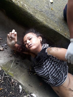 gua3.jpg