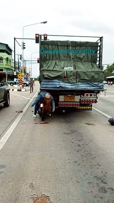 hino1.jpg