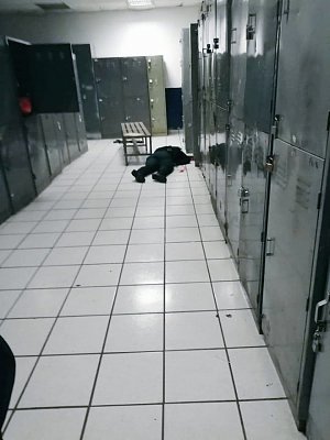 egrgqryxyaaveae.jpg