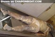 tn_charonboat_dot_com_accidental_drowning1.jpg