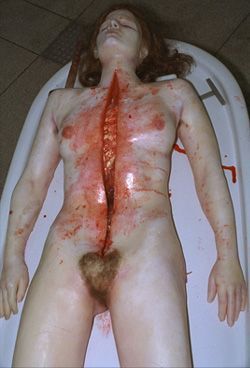 autopsy_layer-1.jpg