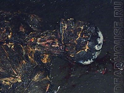 accident_37_03.jpg