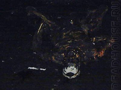 accident_37_04.jpg
