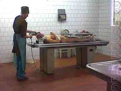 corpses_21_03.jpg