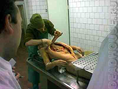 corpses_21_04.jpg
