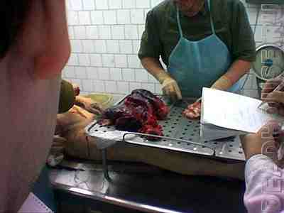 corpses_21_02.jpg