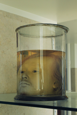 Name:  Head%20%283%29.png
Views: 202
Size:  140.3 KB