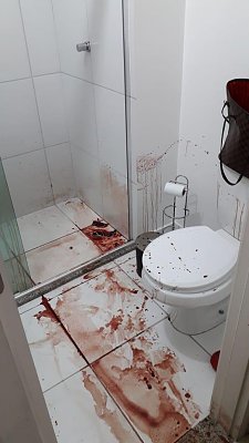 sanguei-206.jpg