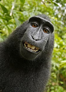 4i9o3UcsE_8.jpg