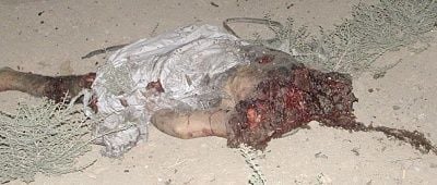 iraqbeheading2.jpg