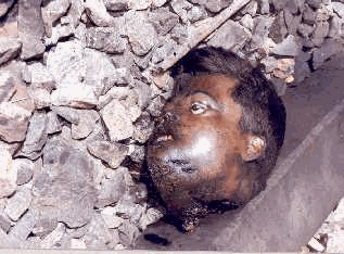 image564.gif