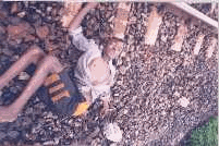 Image552.gif