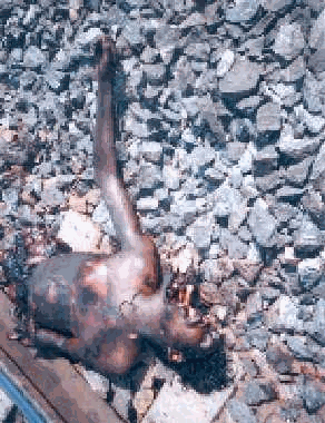 Image509.gif