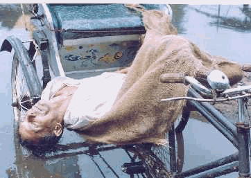 Image534.gif