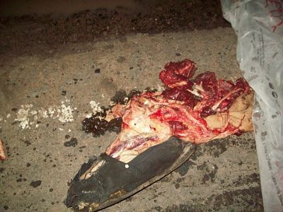accidente-fatal-02-09-09-002.jpg